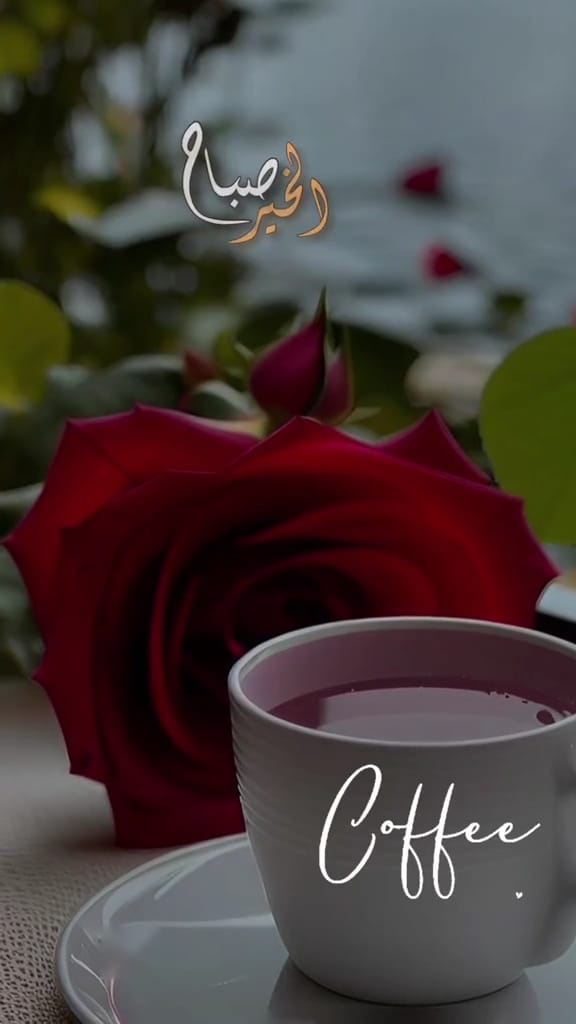 Alsayed coffee