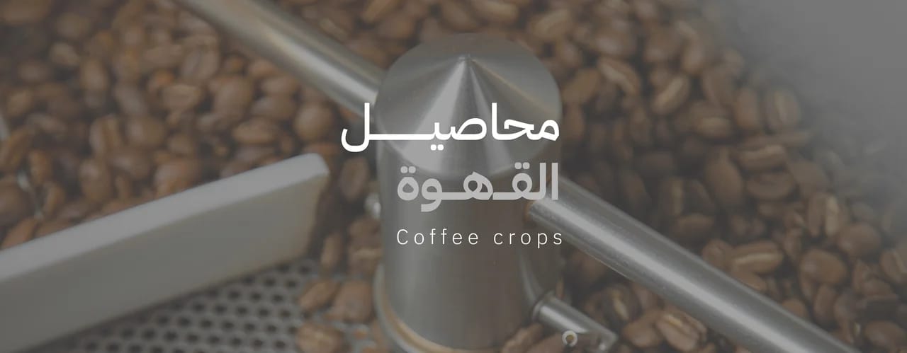 Geisha Speciality Coffee photo 4