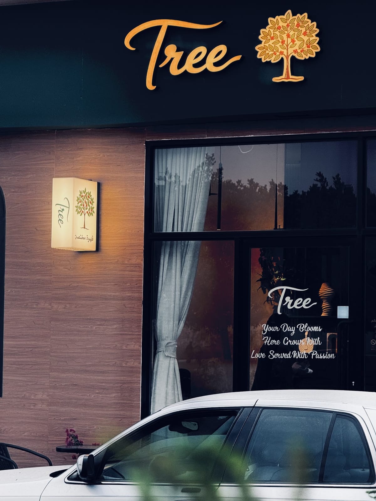 TREE COFFEE