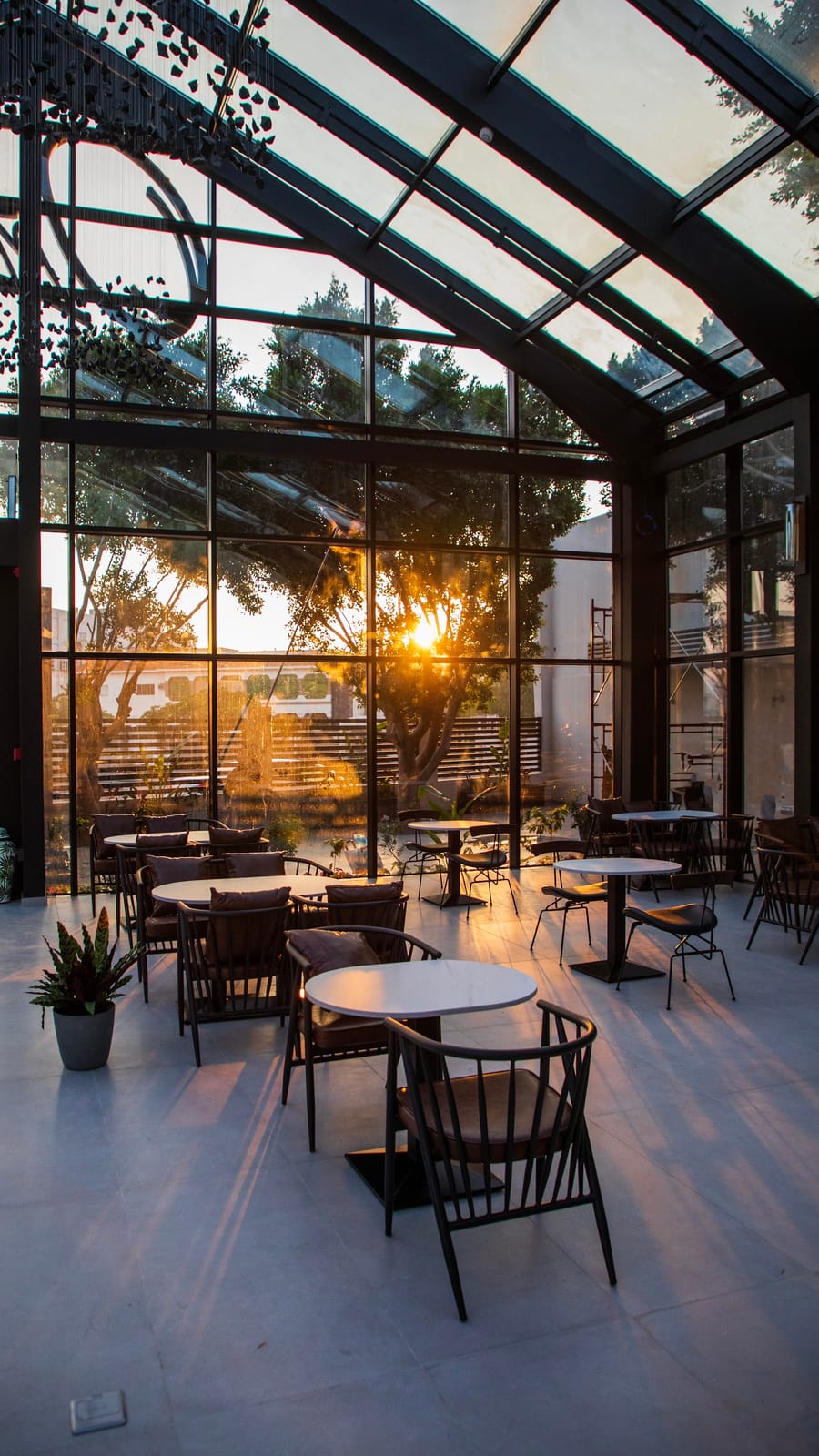 OPTIONS CAFE