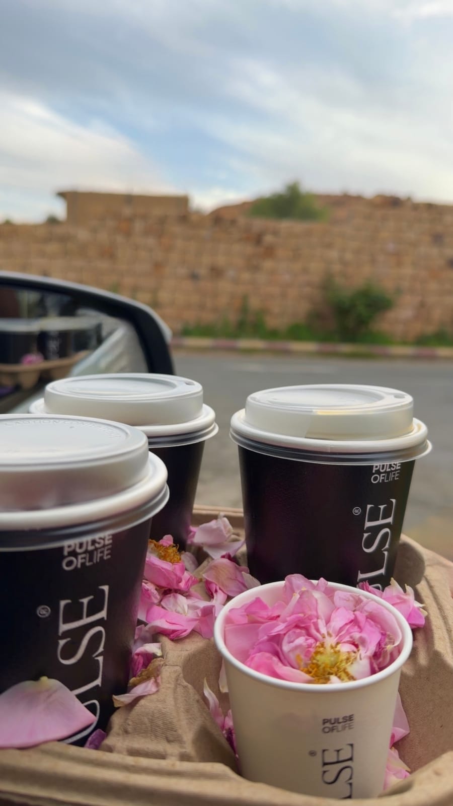 Pulse الهدا