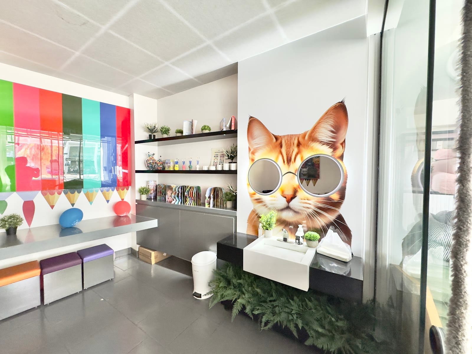 Animalia Cat Cafe