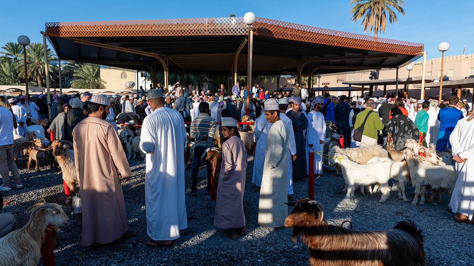 Muzun Cafe مزن كافيه photo 2