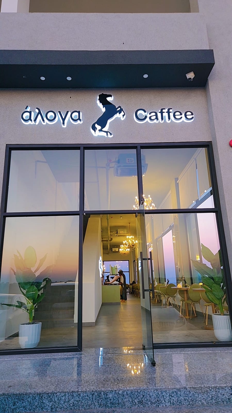 ayoyo cafe