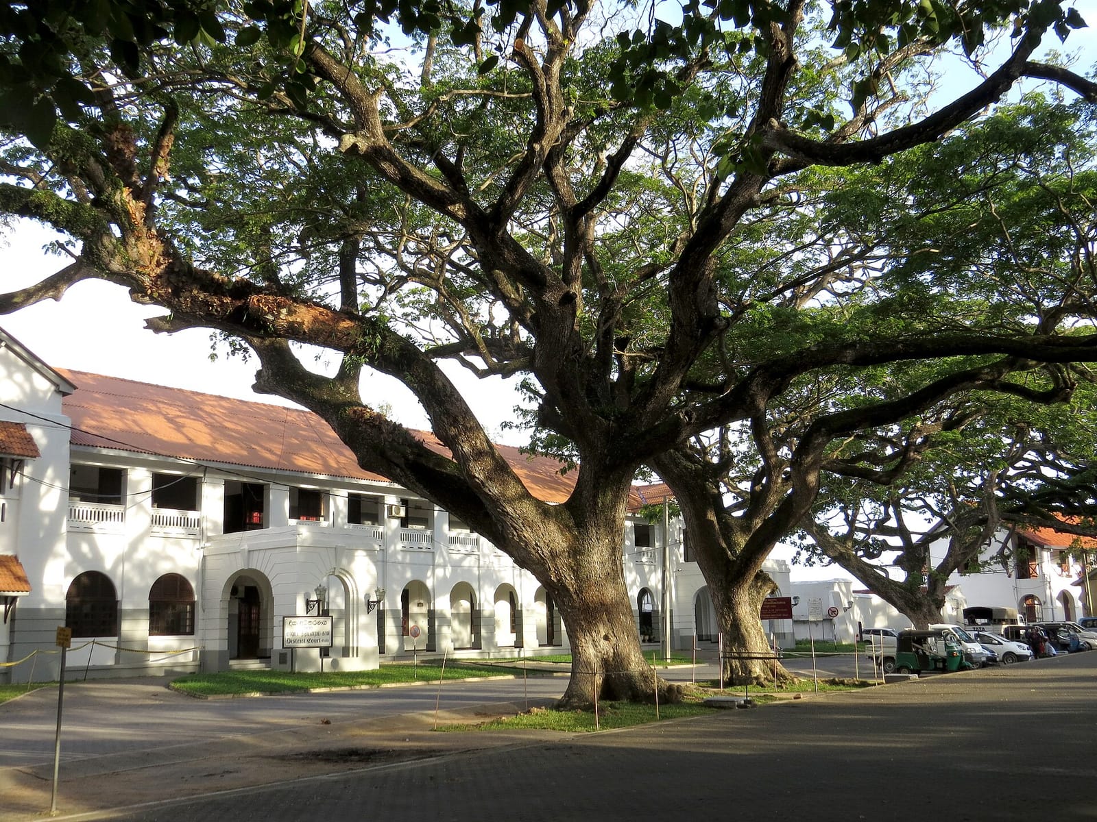 Kaffi Galle Fort photo 5