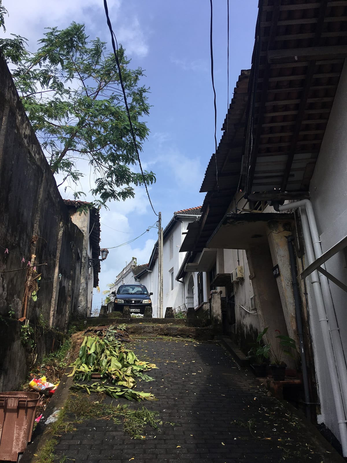 Galle Fort Like a local ( Former National Tea Room ) photo 4