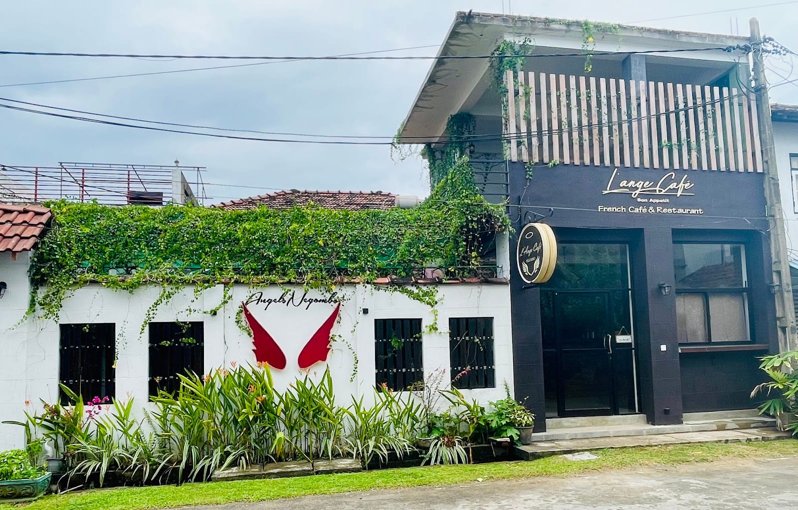 L'Ange Café Negombo
