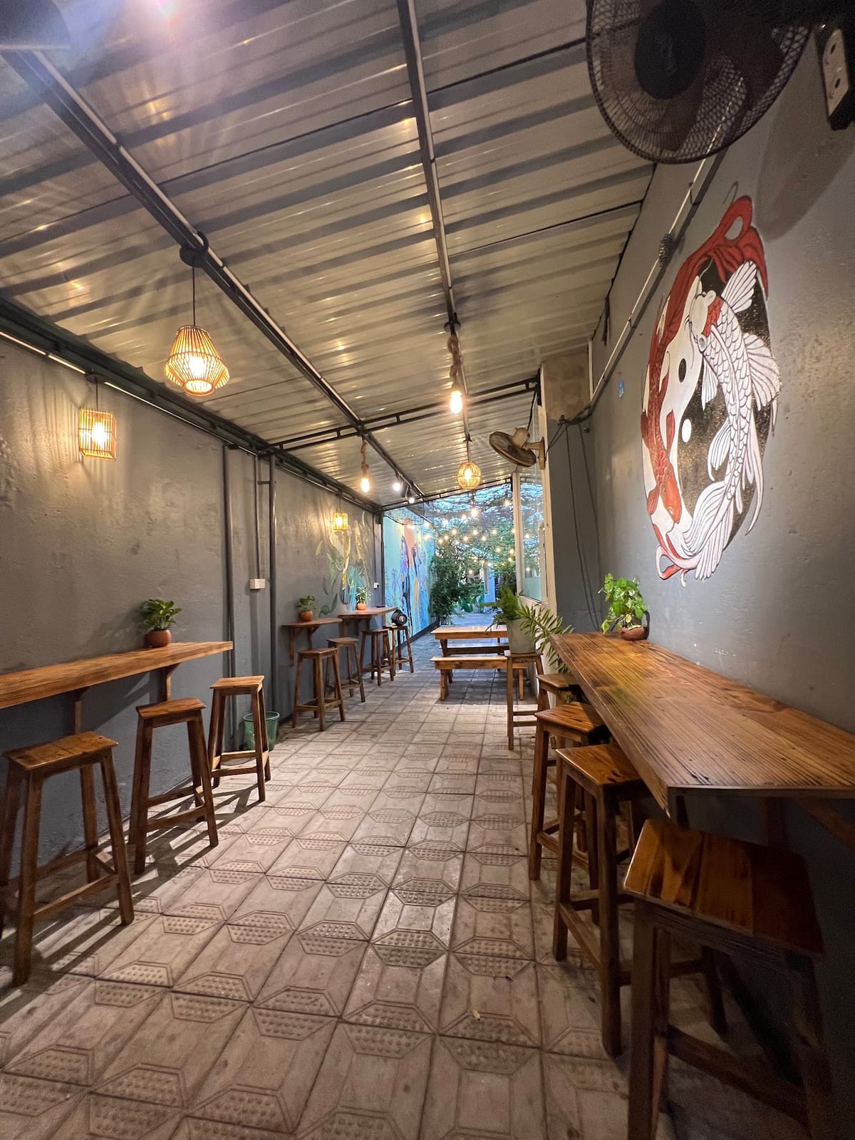 7° Backyard