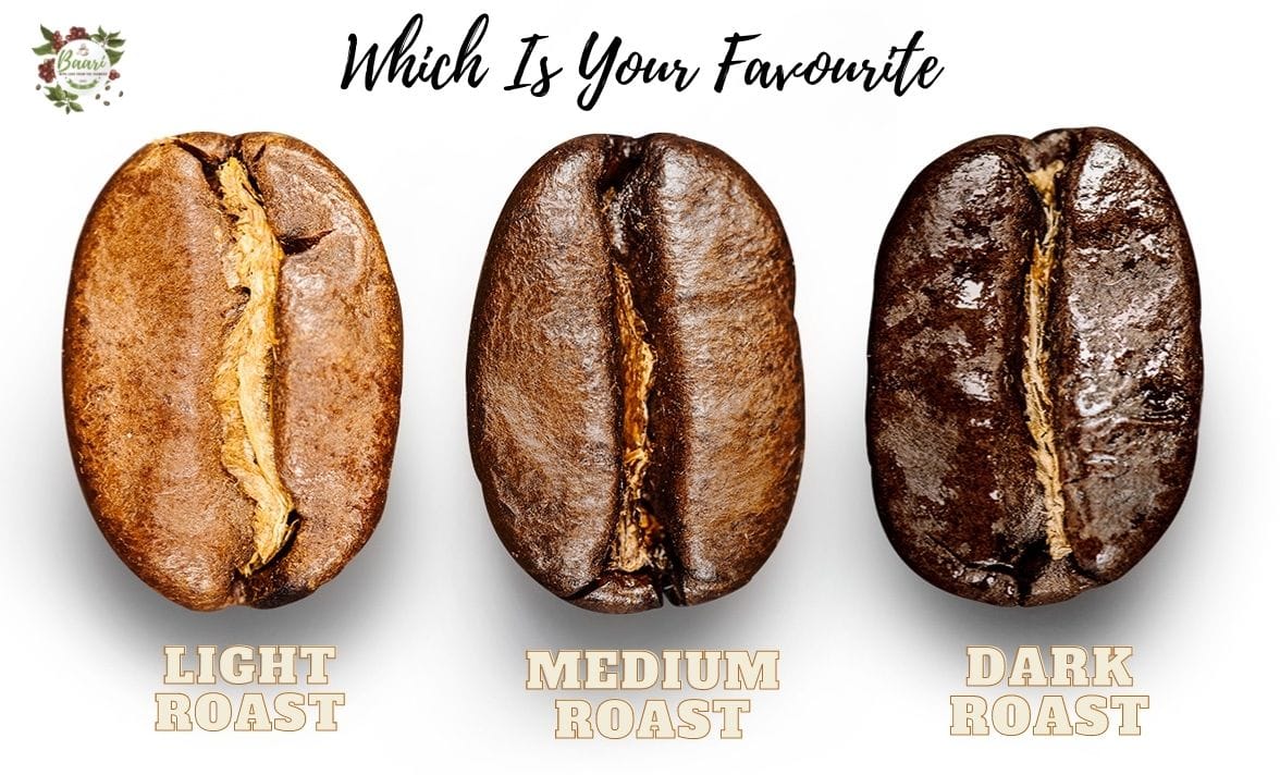 Baari Roastery