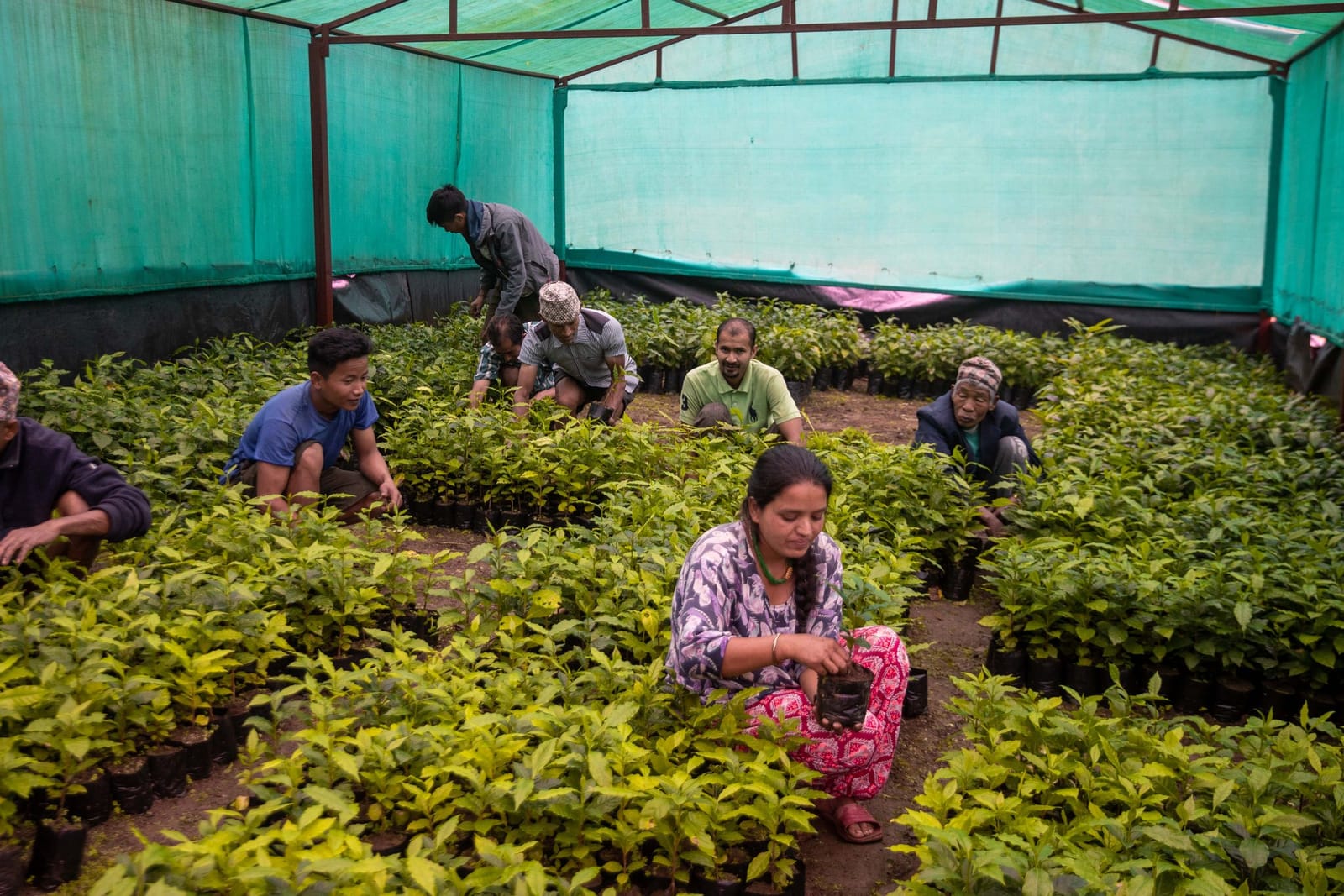 WakeCup Coffee, Biratnagar photo 6