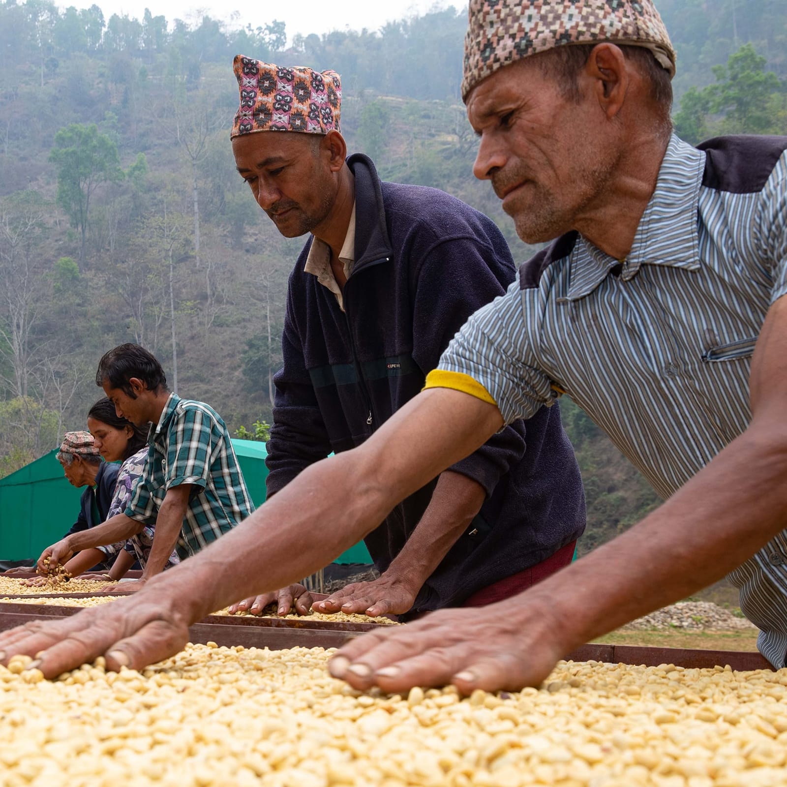 WakeCup Coffee, Biratnagar photo 9