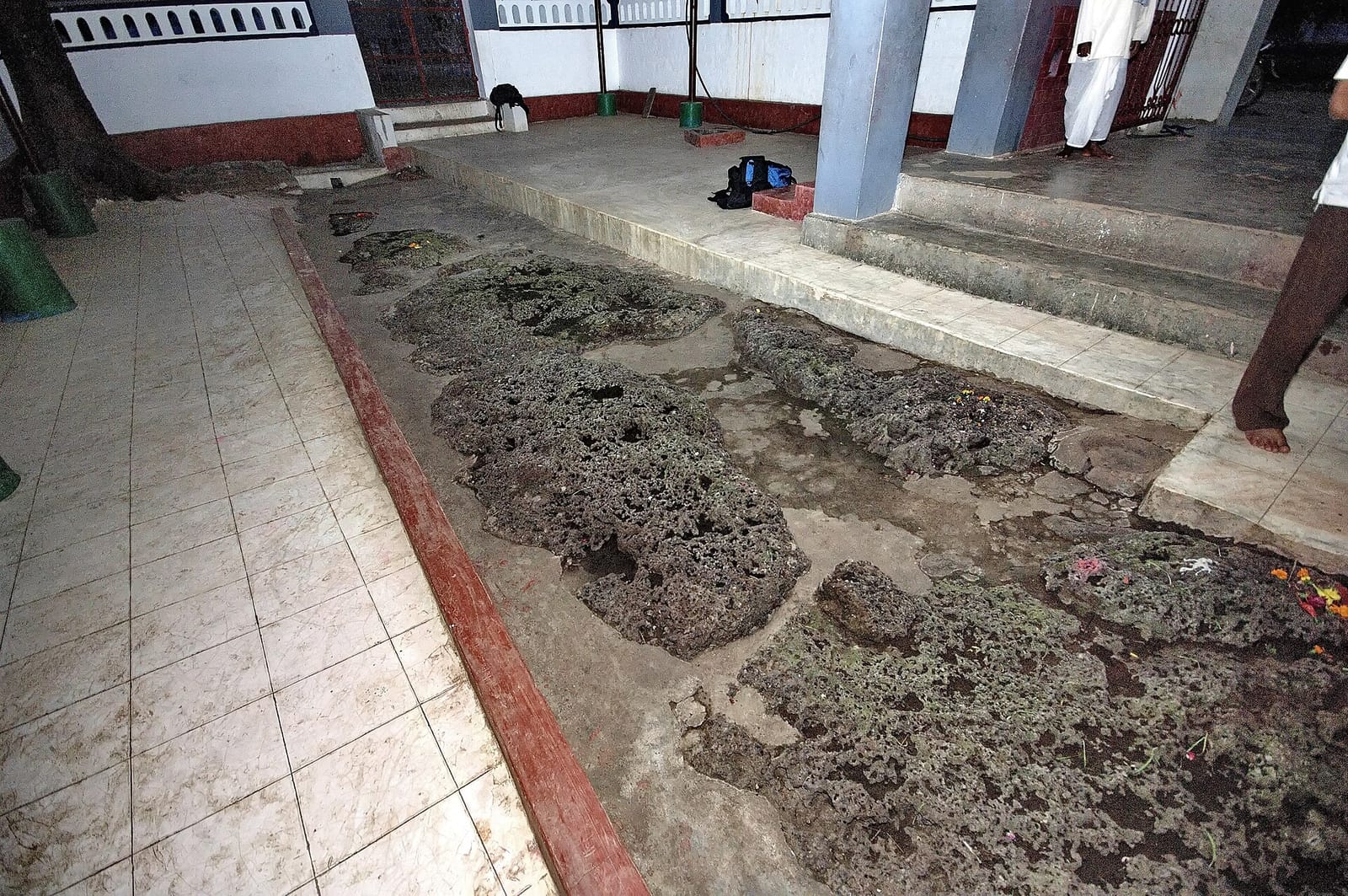 Chiya Chautari (चिया चौतारी) photo 3