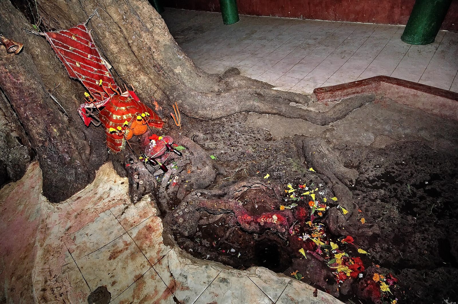 Chiya Chautari (चिया चौतारी) photo 5
