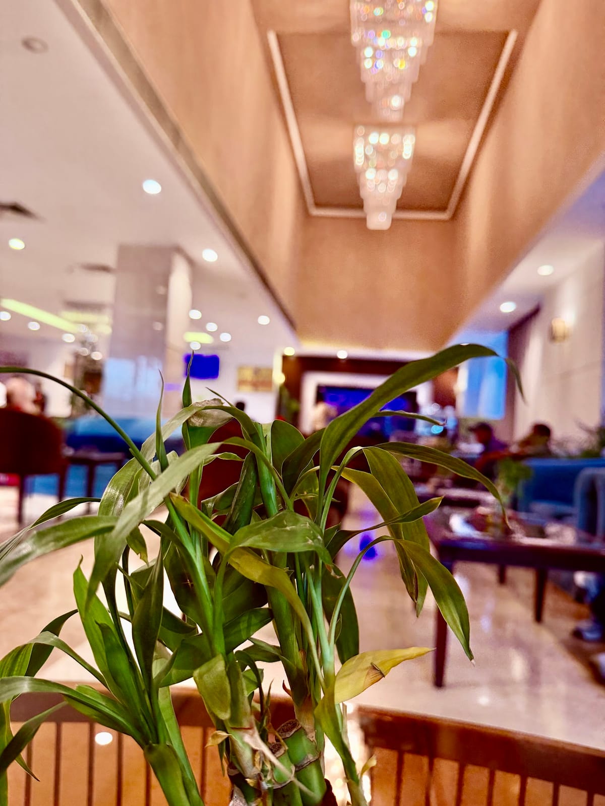 The Cafe - Soaltee Westend Premier