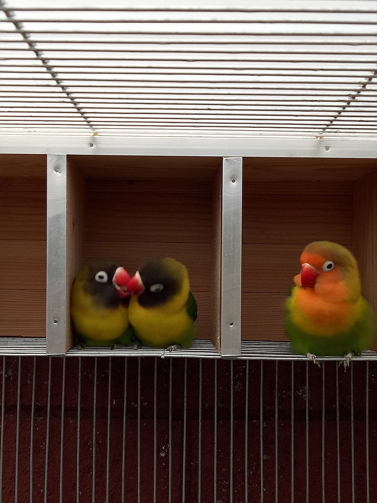 Cafe Esque photo 2
