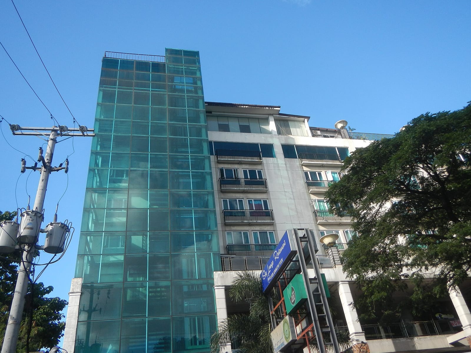 Typica Coffee - Hollywood Terraces photo 5