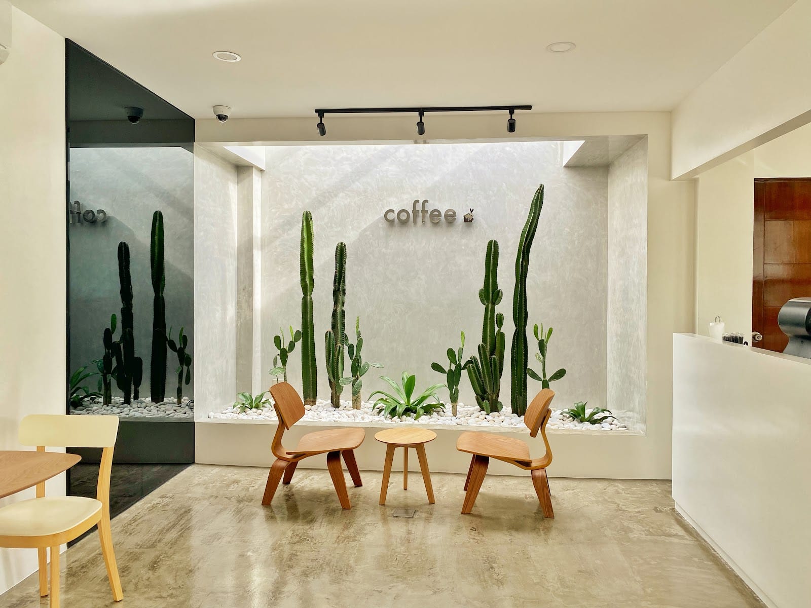 dkpress coffee & company beverly hills Taytay