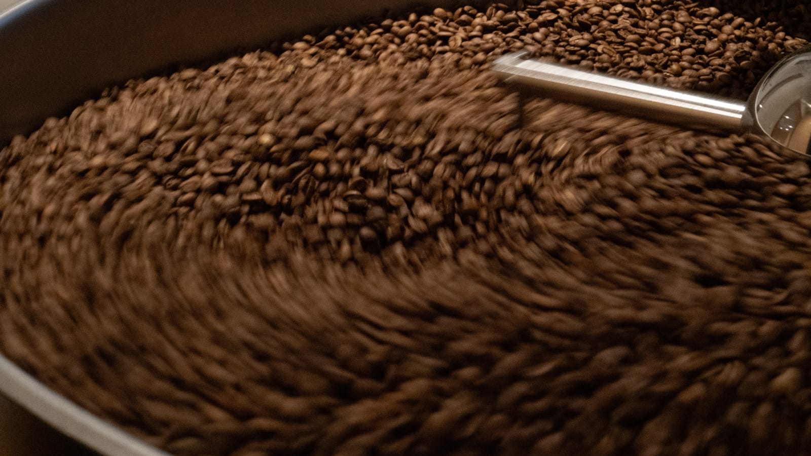a.m. coffee & roastery photo 2