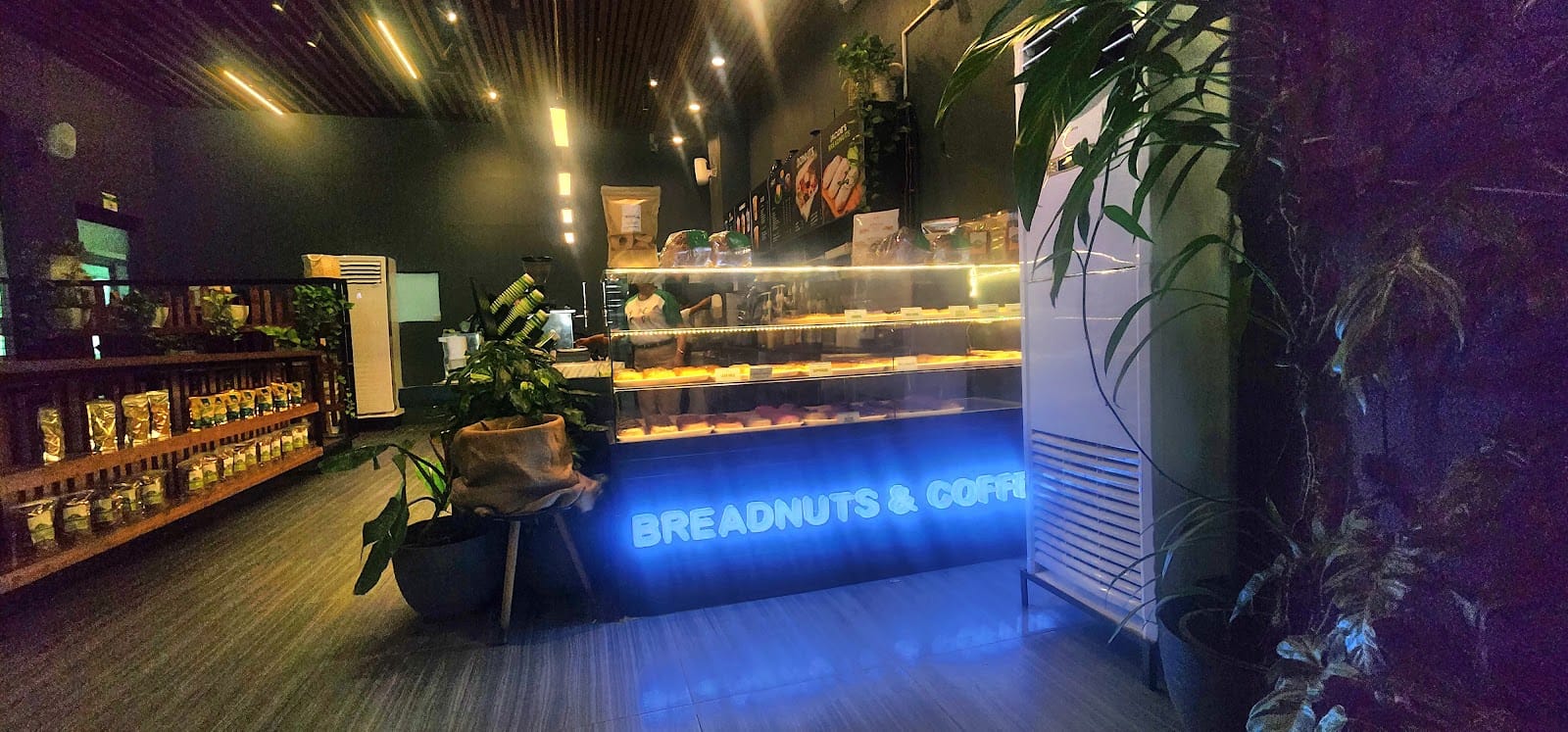 Jacob's Breadnuts