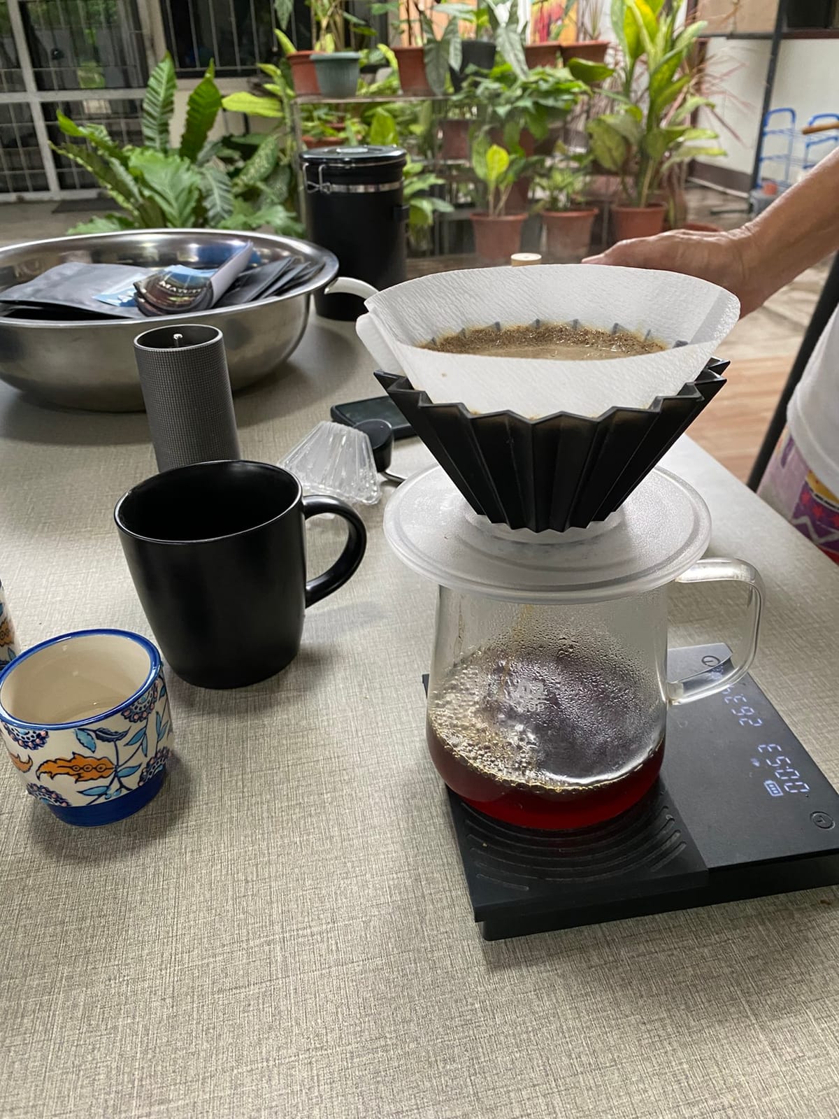 Greentropics Coffee Enterprise