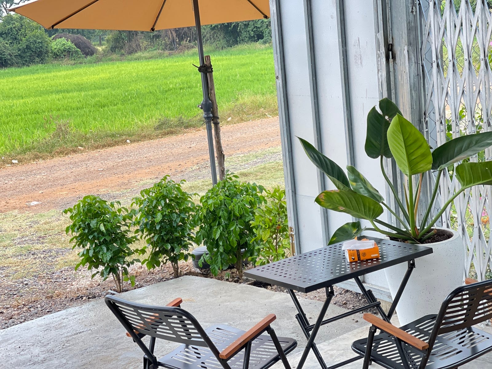 VEYO Café