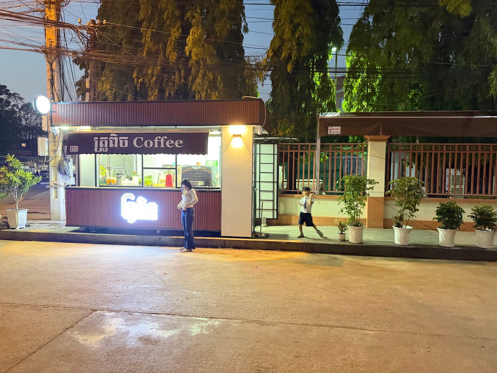 ត្រូពិច coffee