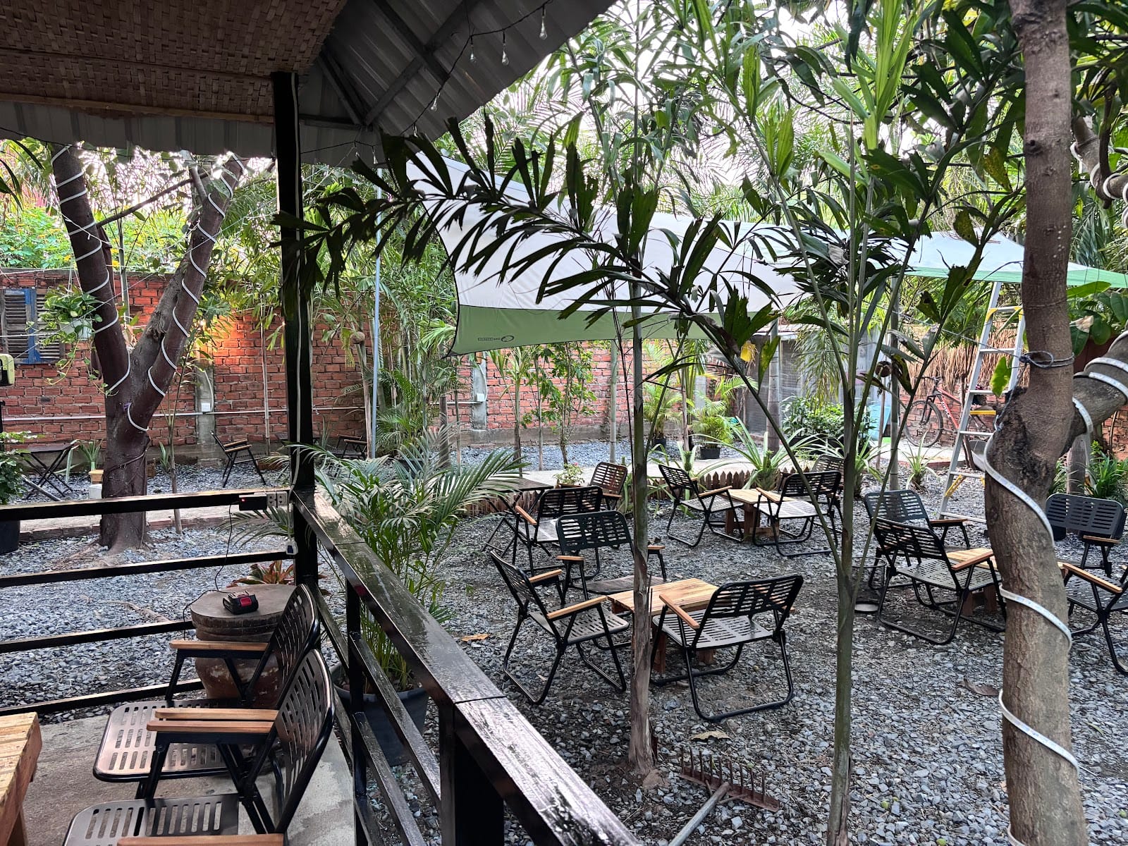 0102 cafe