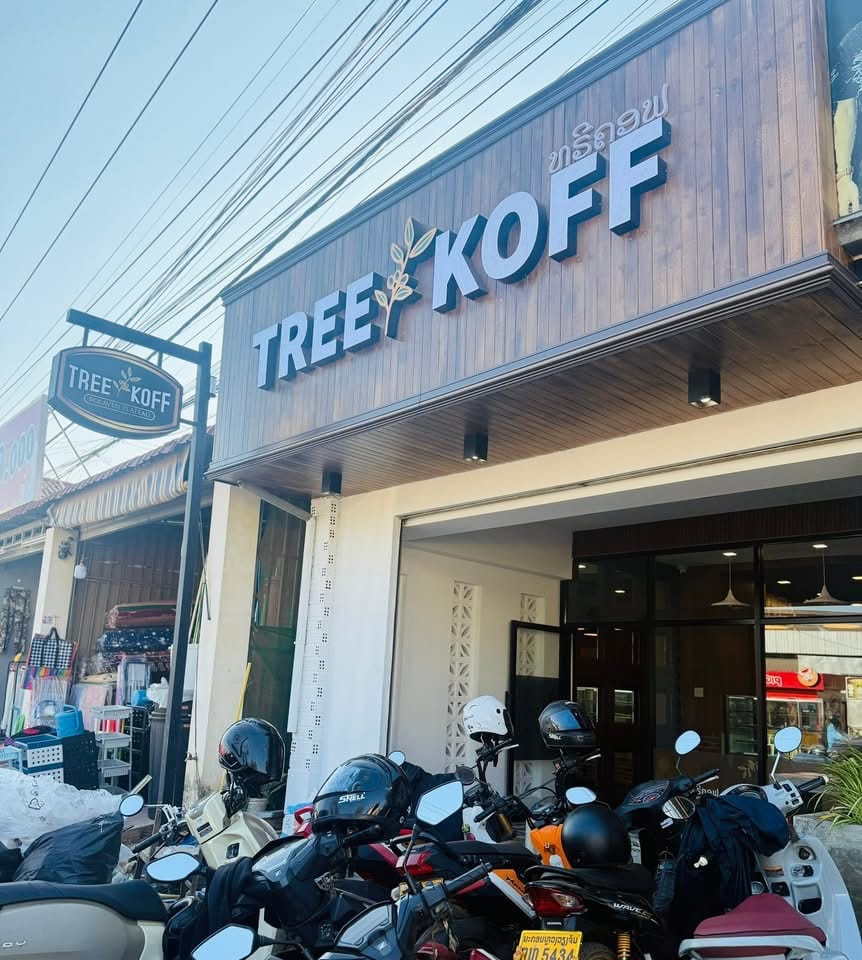 Treekoff Dongkhamxang