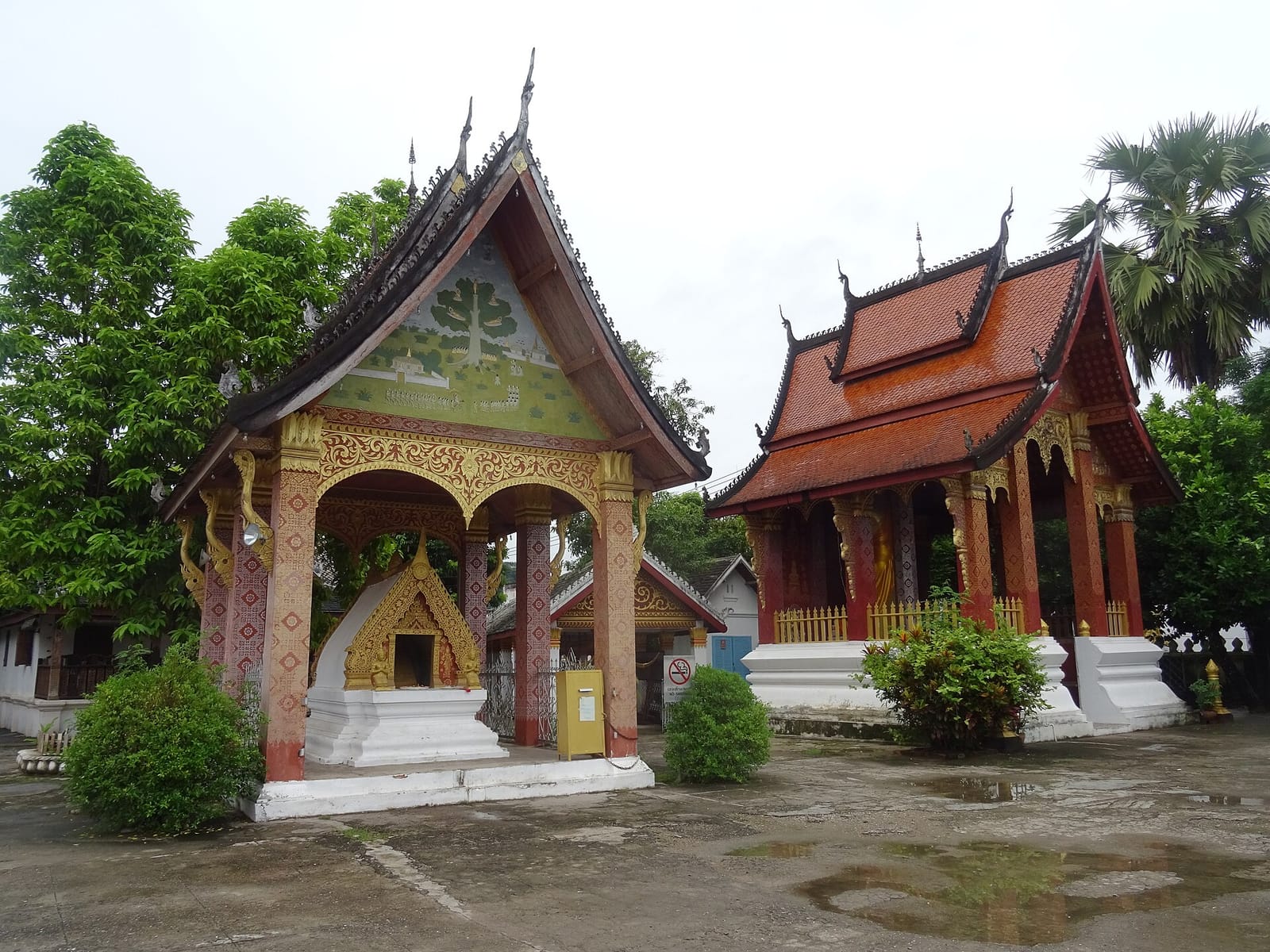 Treekoff Watsen Luangprabang photo 4