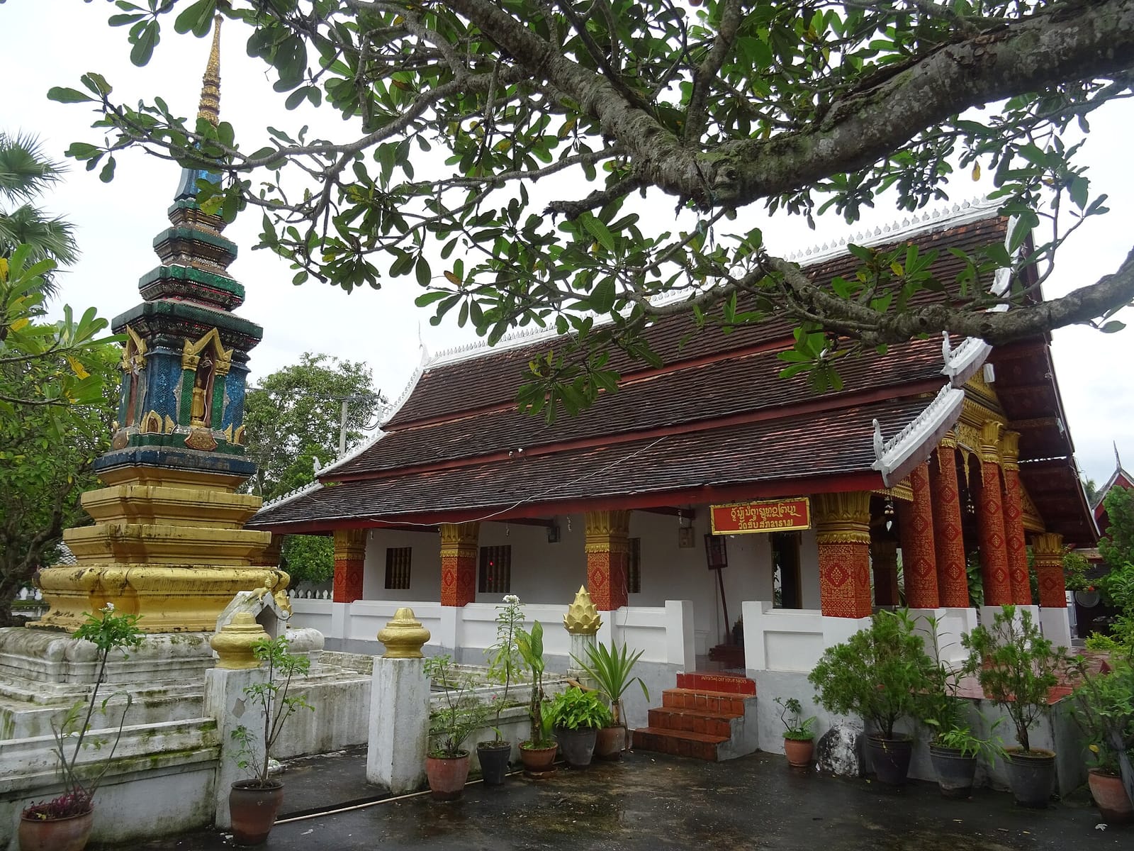 Treekoff Watsen Luangprabang photo 2