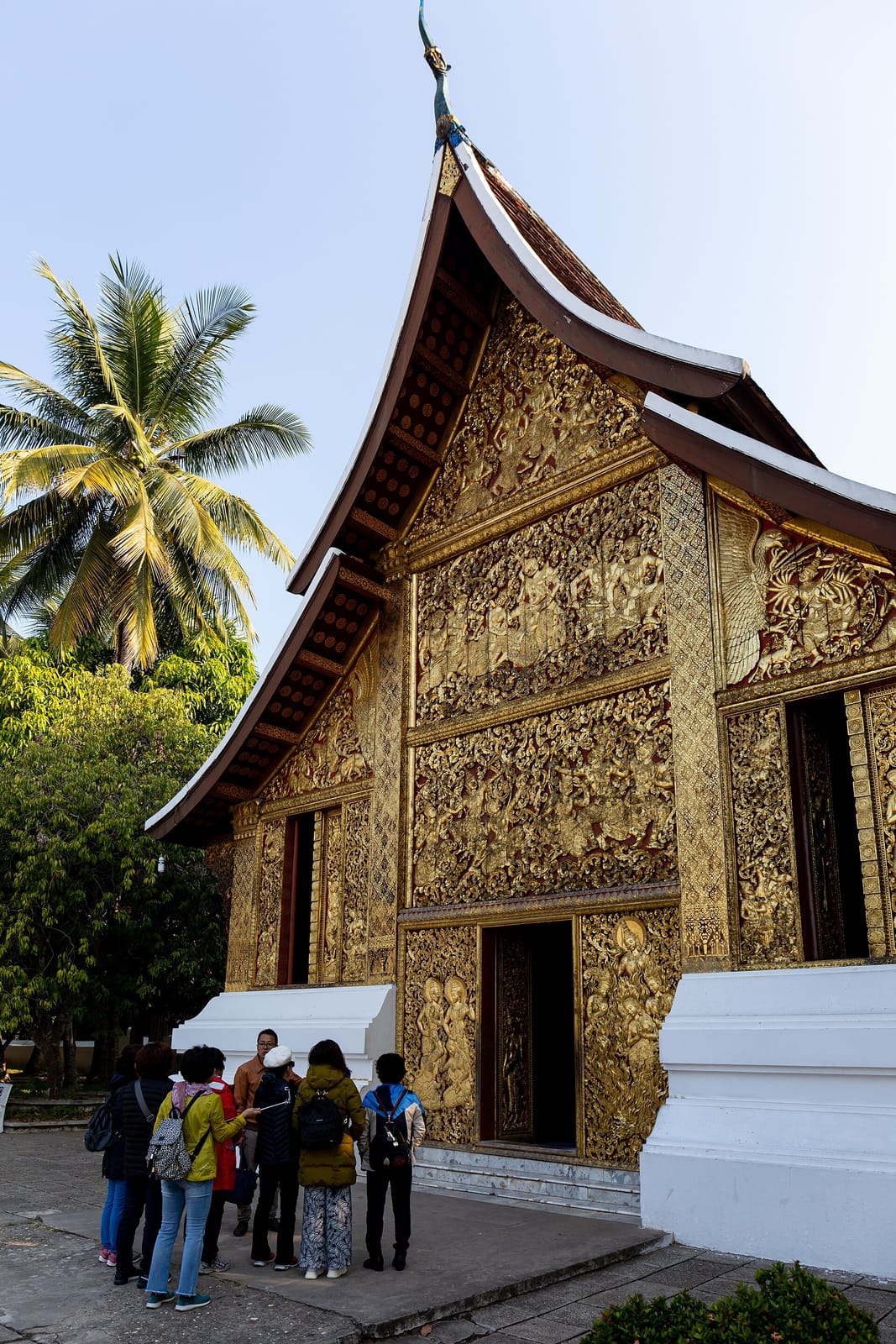 Sabai photo 2