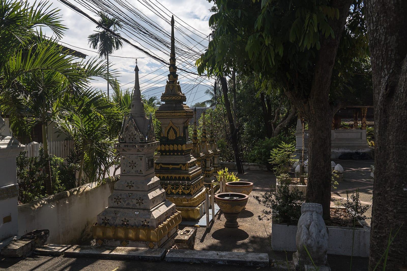 Sabai photo 4