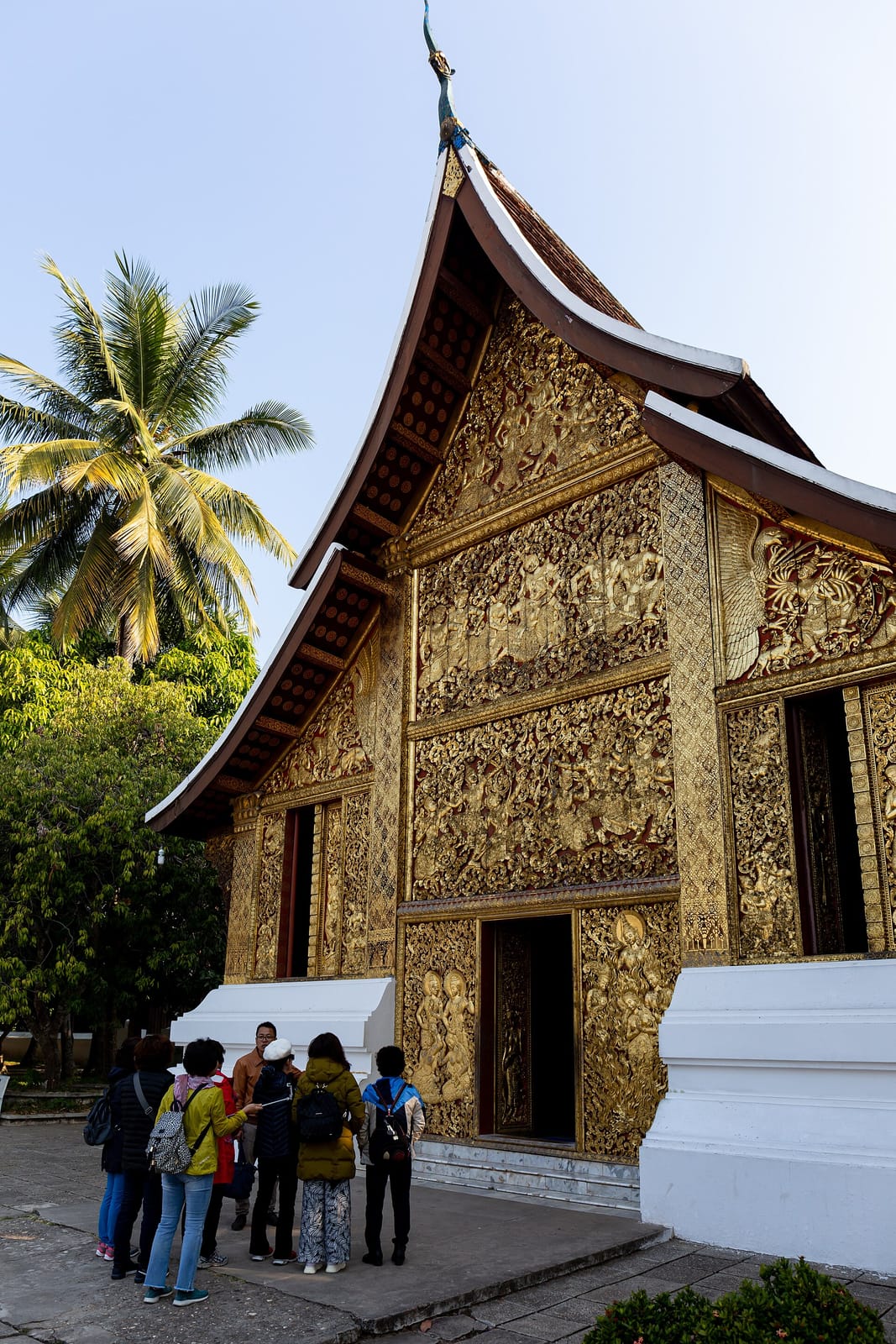 Sabai photo 3