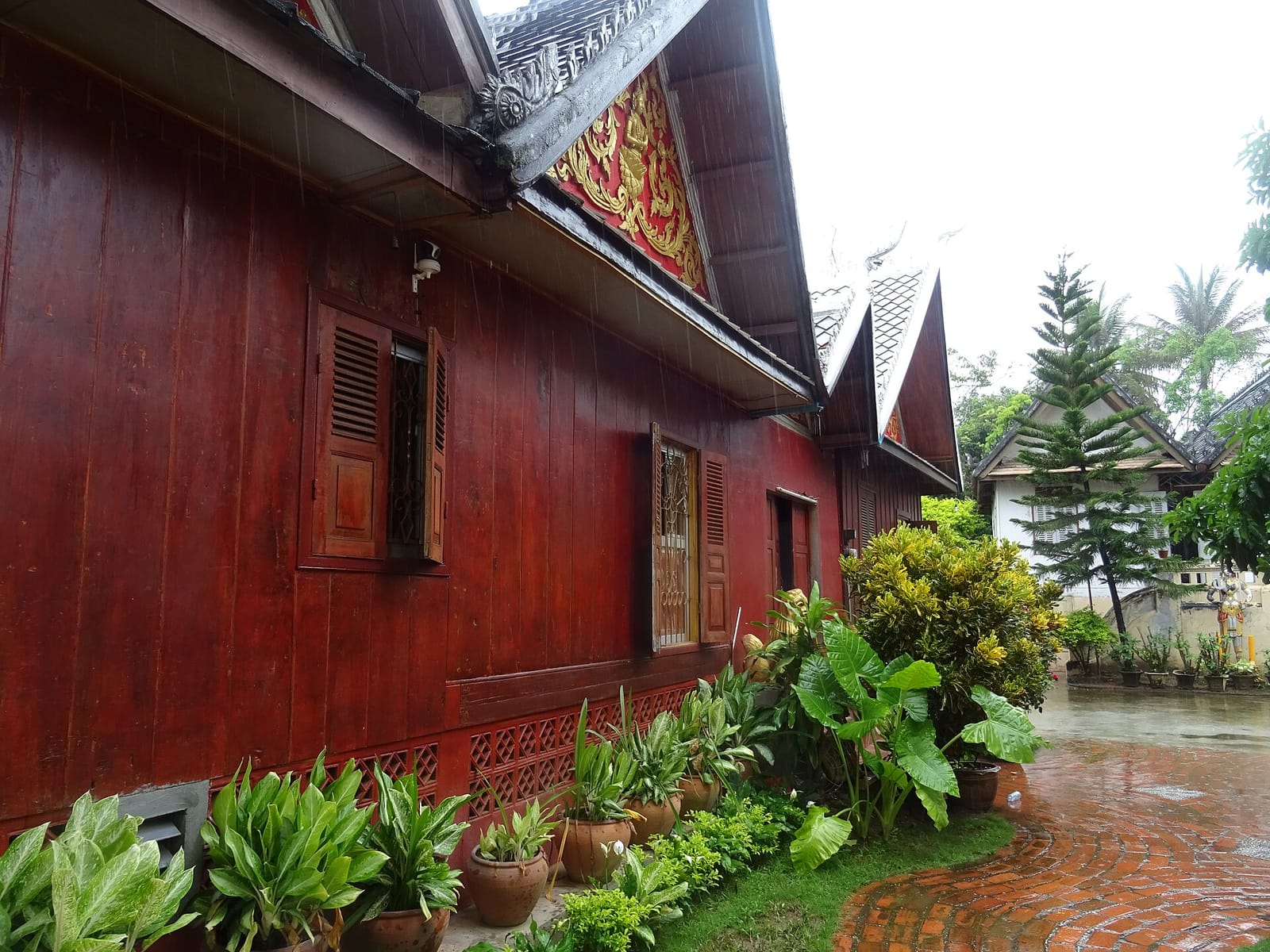 Cafe for Knowledge photo 3