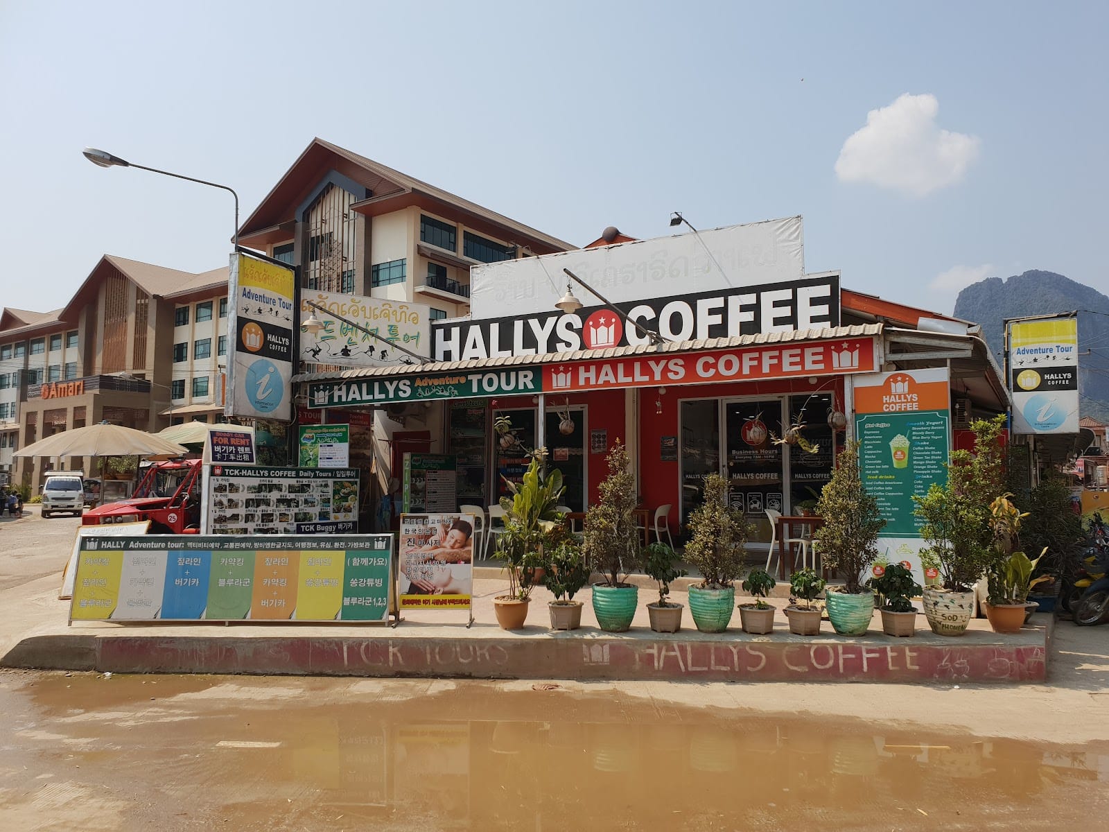 Hallys Coffee & TCK Tours