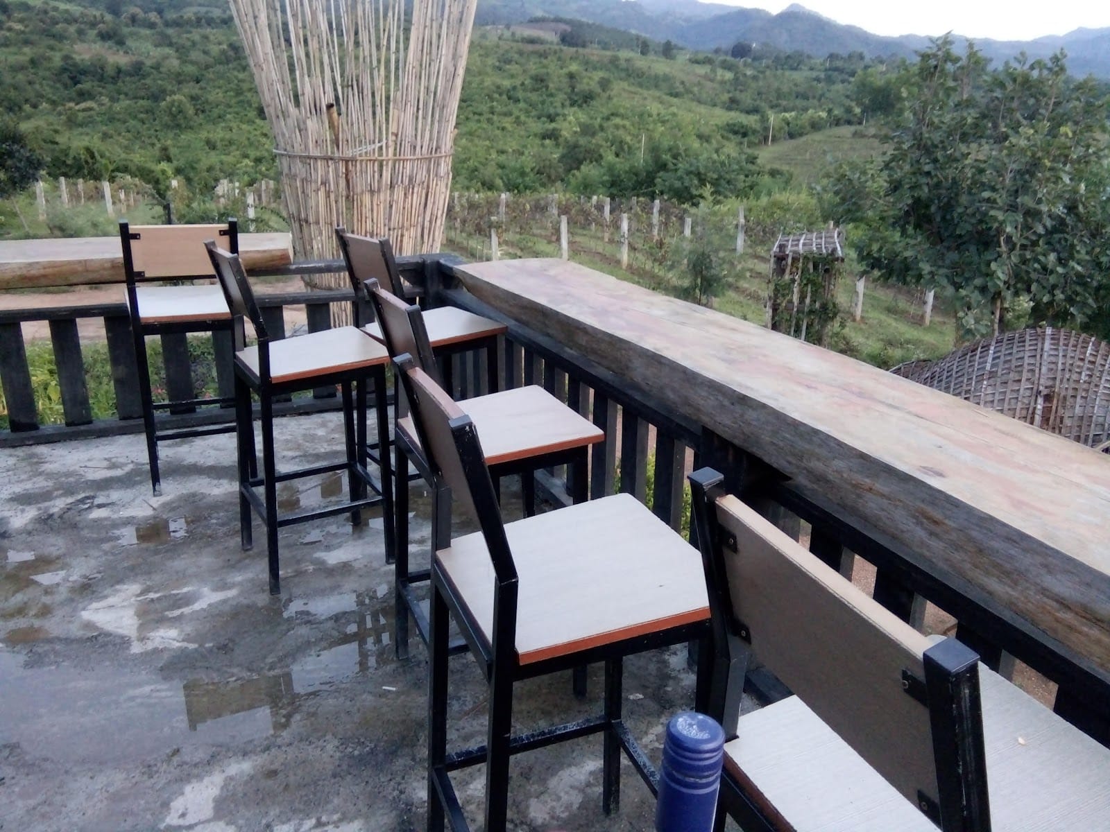 Coffee House and Wine Garden