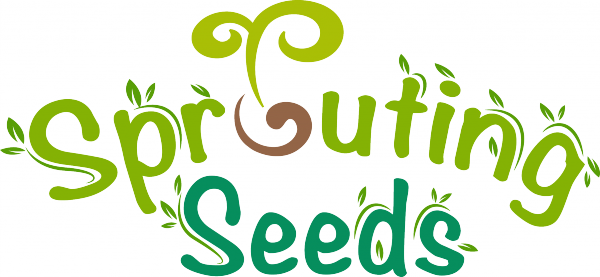 Sprouting Seeds Cafe and Bakery photo 5