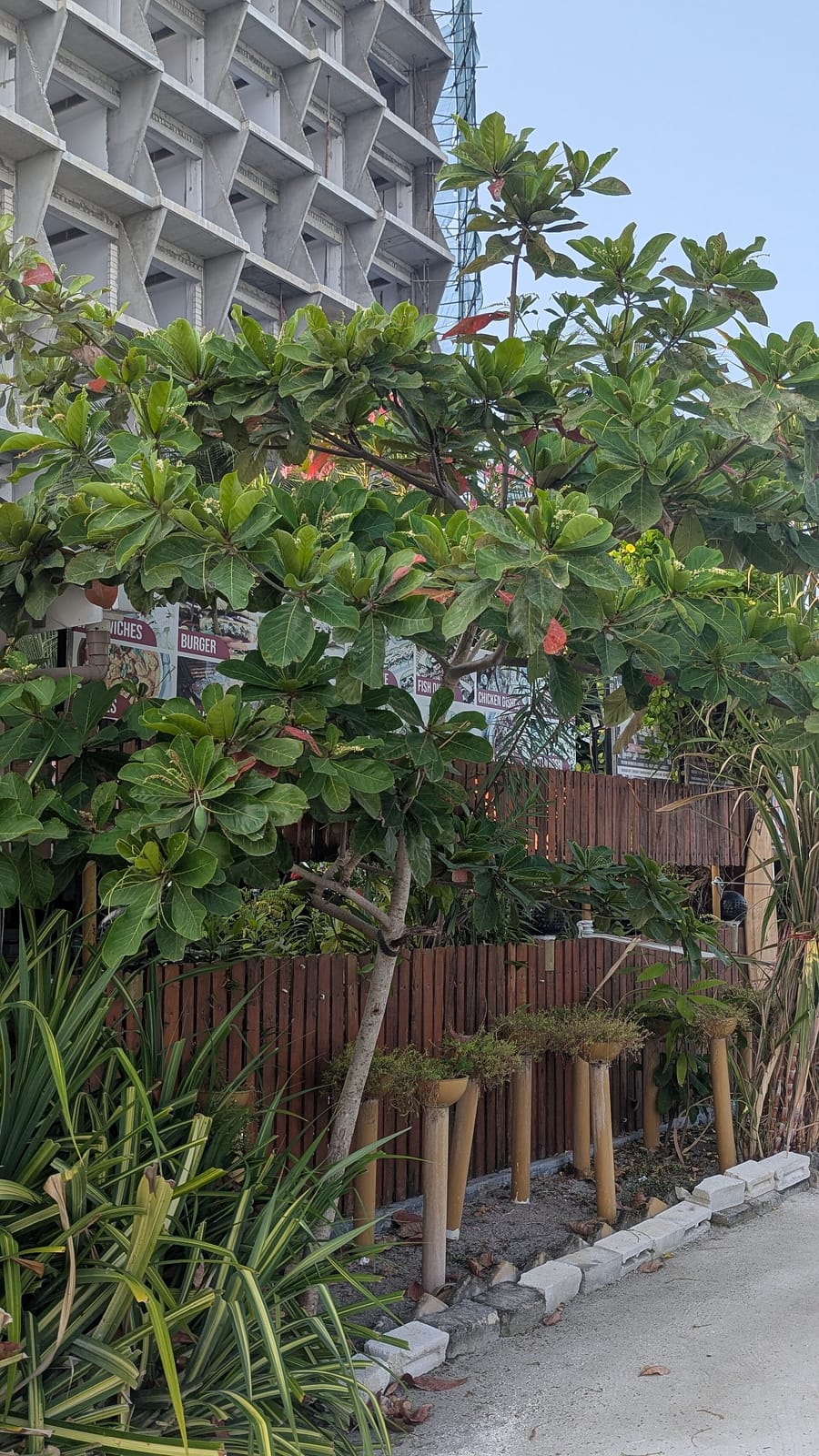 Sunbeach café photo 5