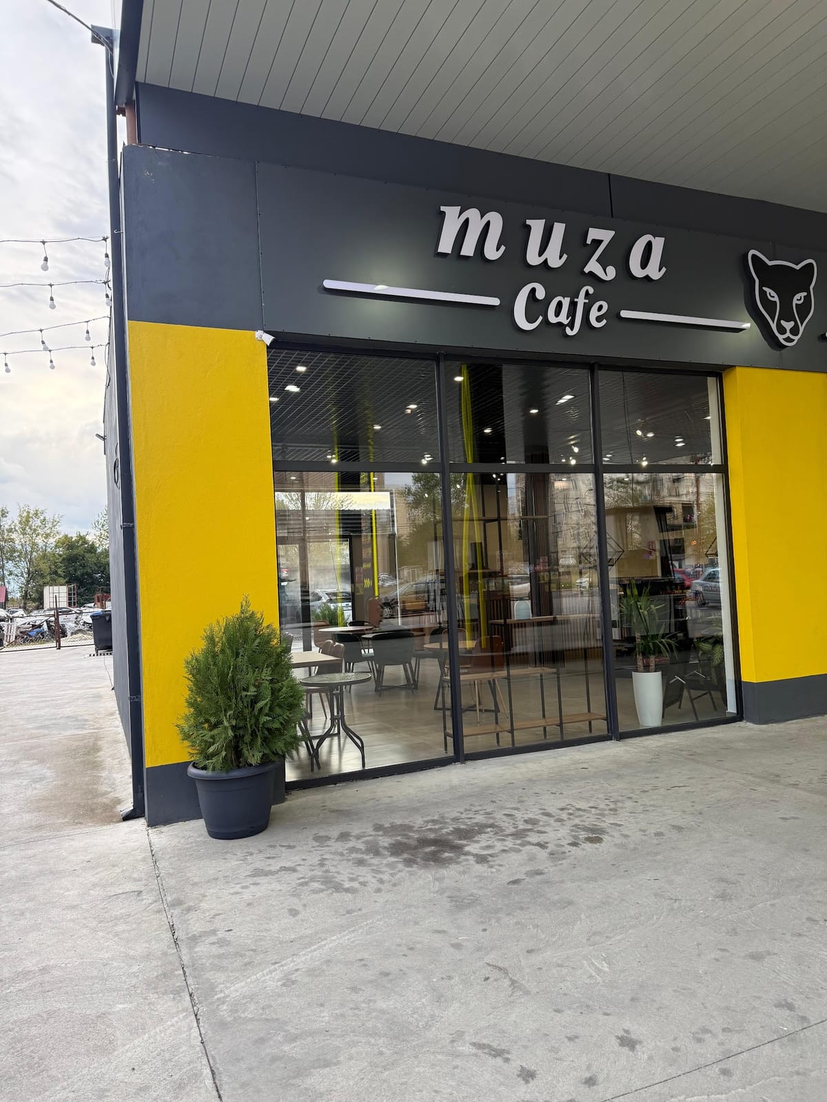 Muza Cafe
