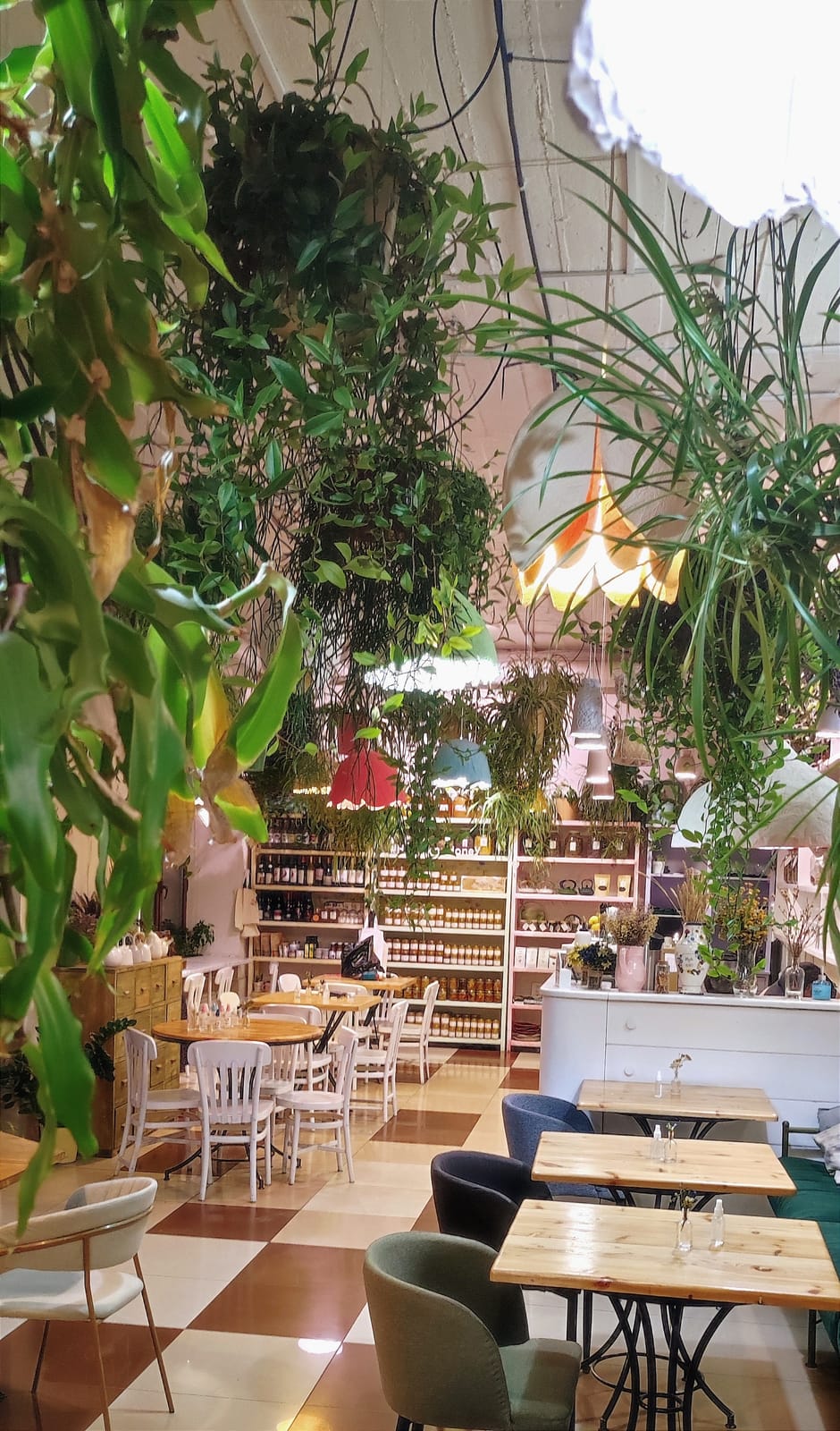 Herbs & Honey teashop & restaurant photo 4