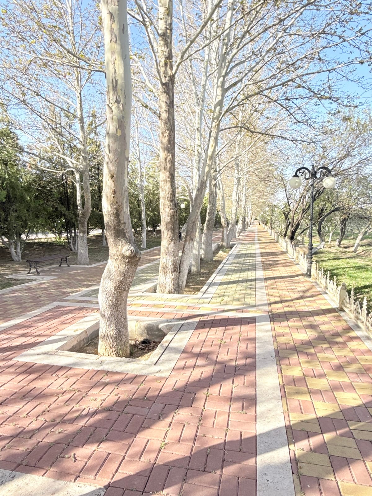 Maqemin kafesi