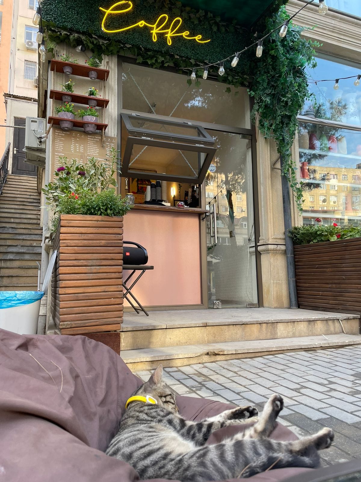 Cozy Coffeehouse