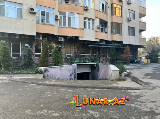 Lunar Coffee photo 2