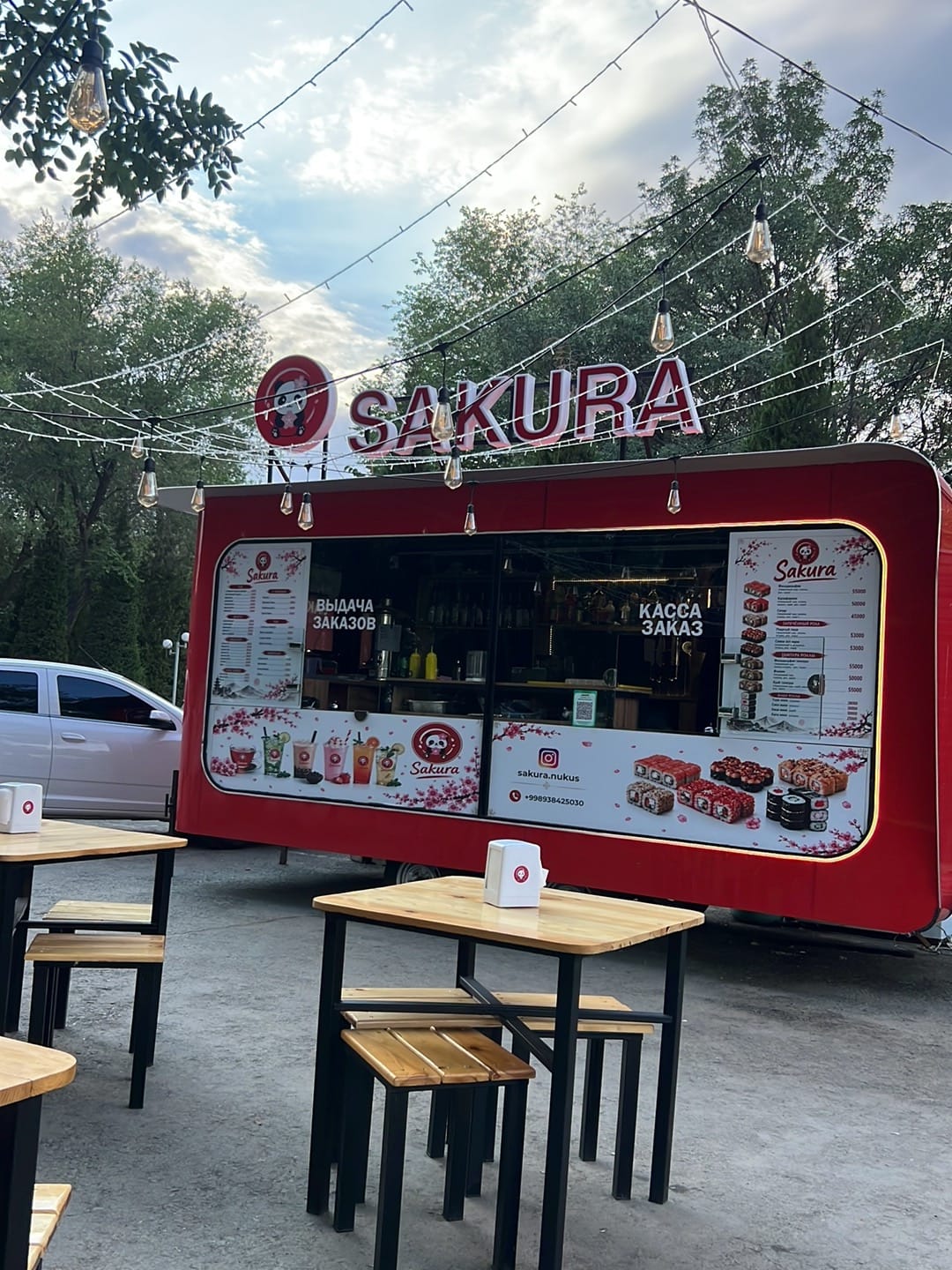 Sakura_nukus
