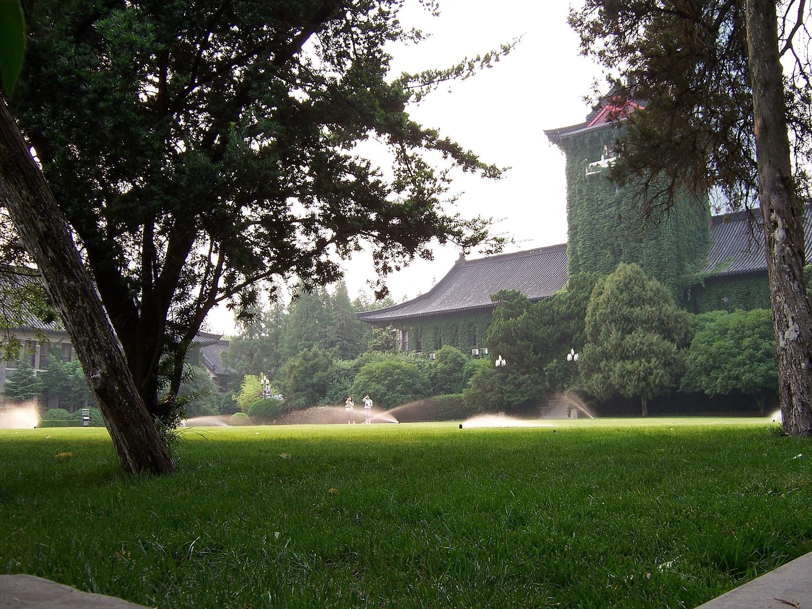 Yi Coffee photo 4
