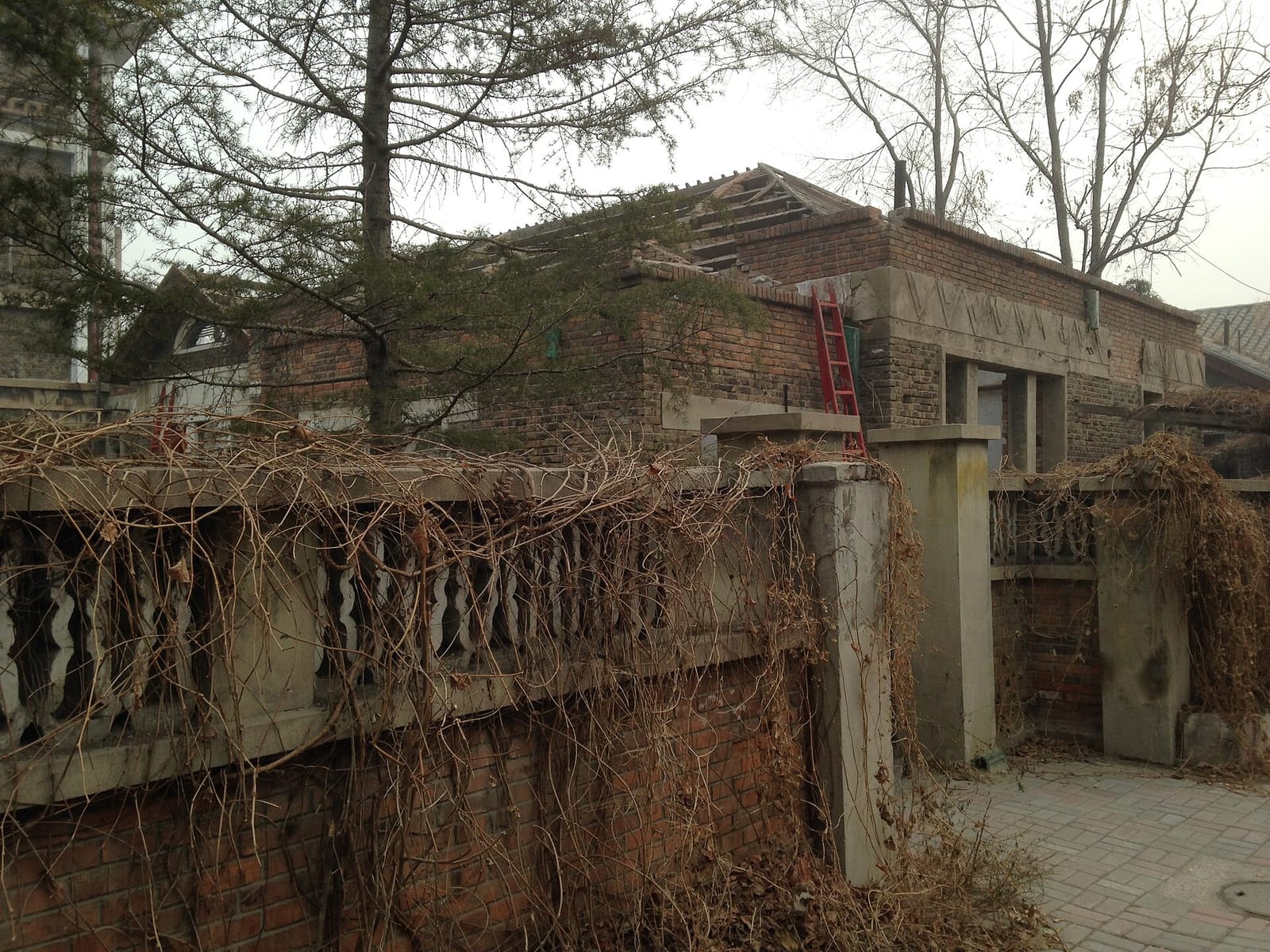 Mingyuan Tea House photo 5