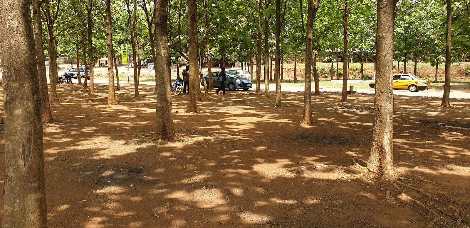 Rond point de Babré