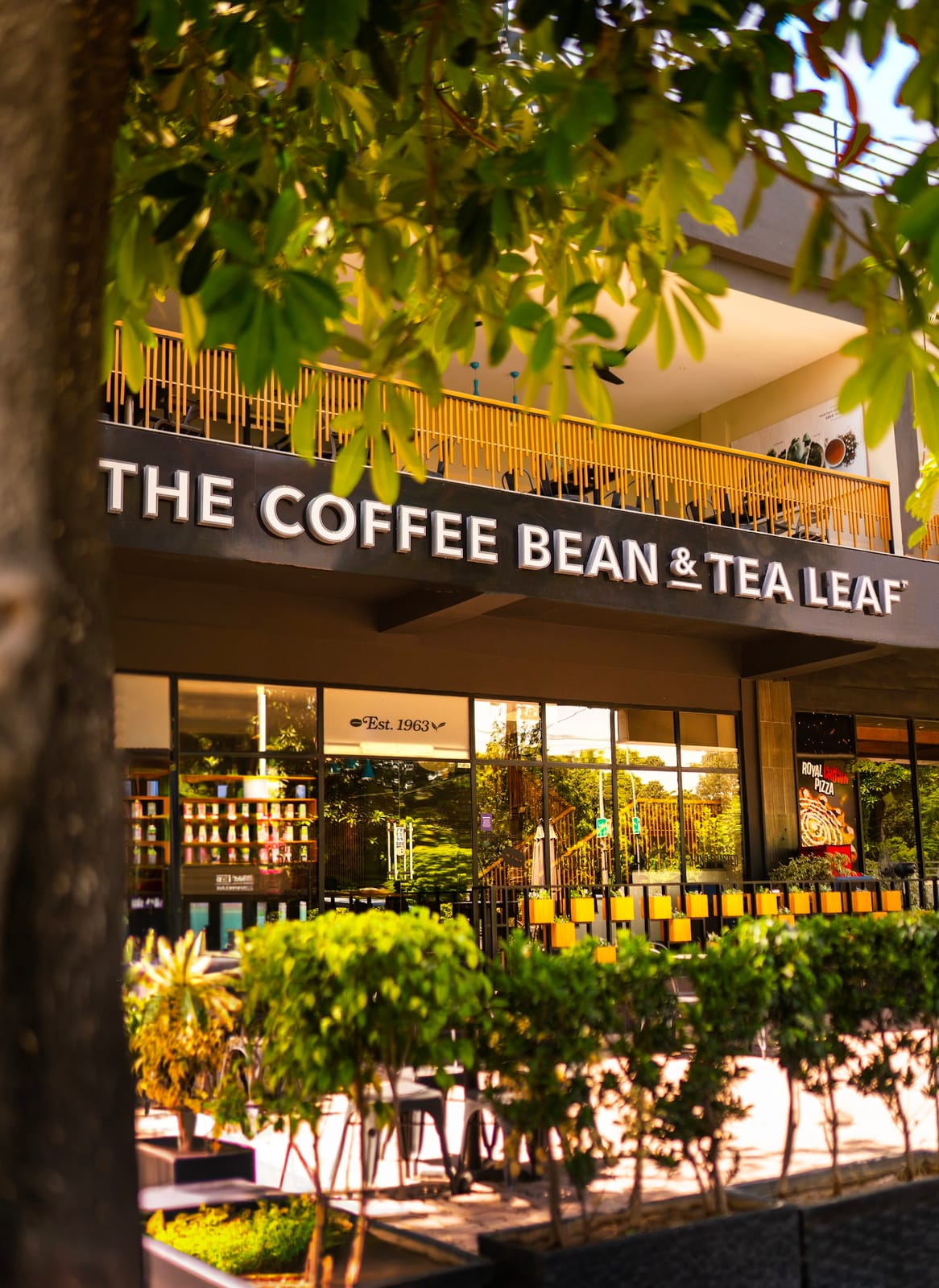 The Coffee Bean & Tea Leaf