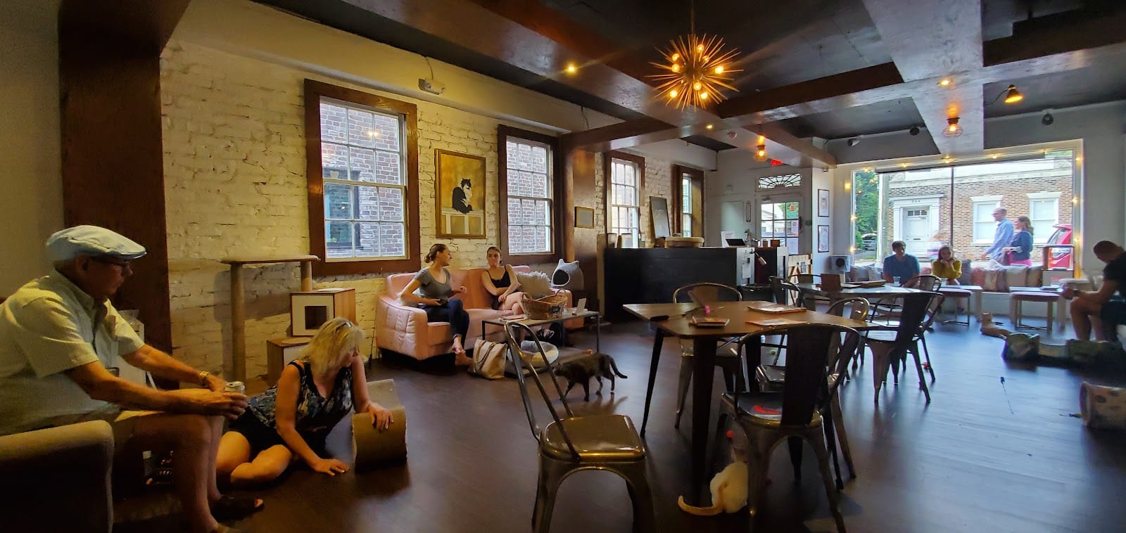 Pounce Cat Café + Wine Bar