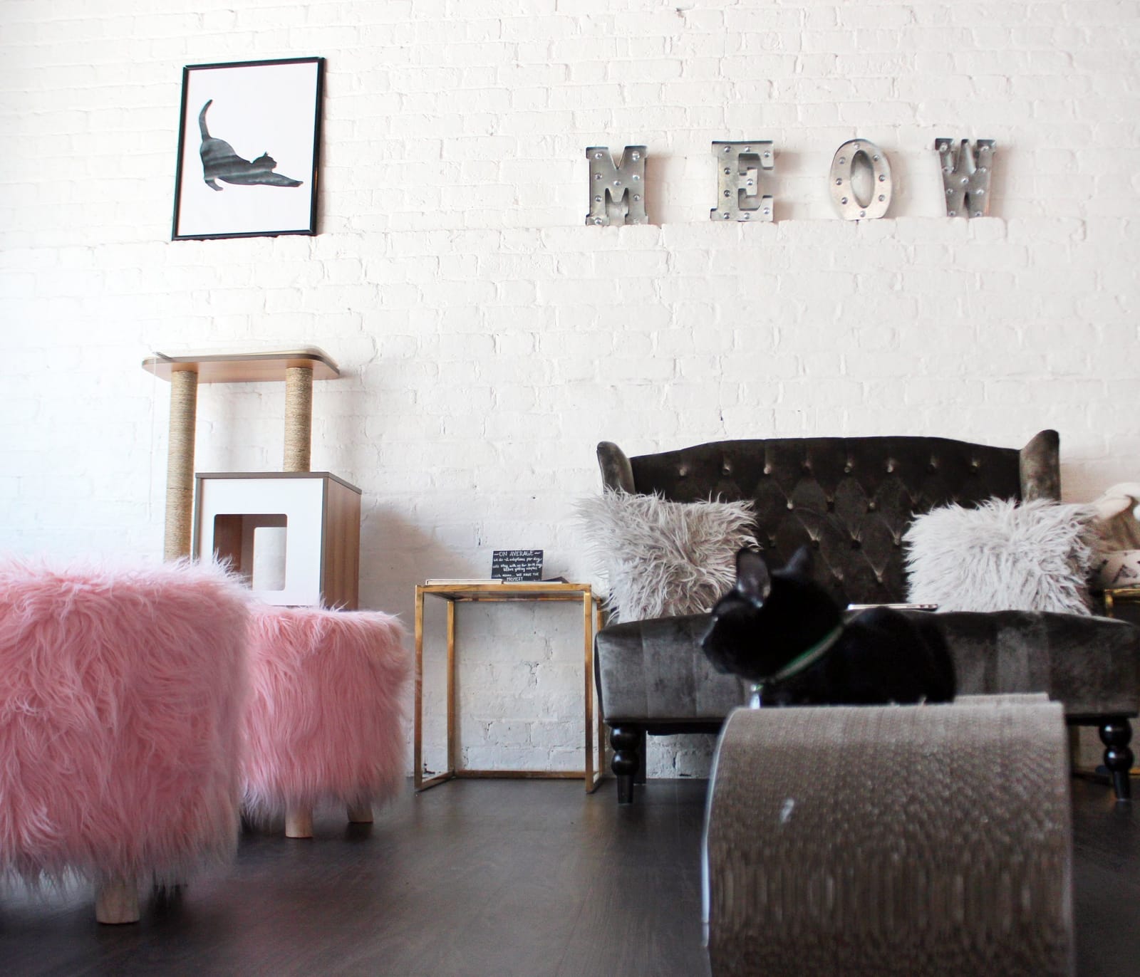 Pounce Cat Café + Wine Bar photo 3